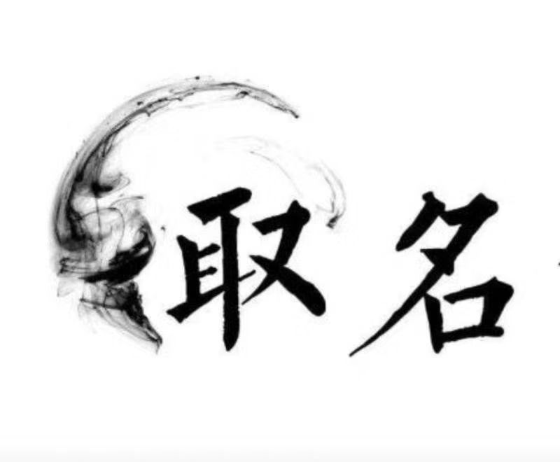  裕安宝宝取名 大师一对一人工起名